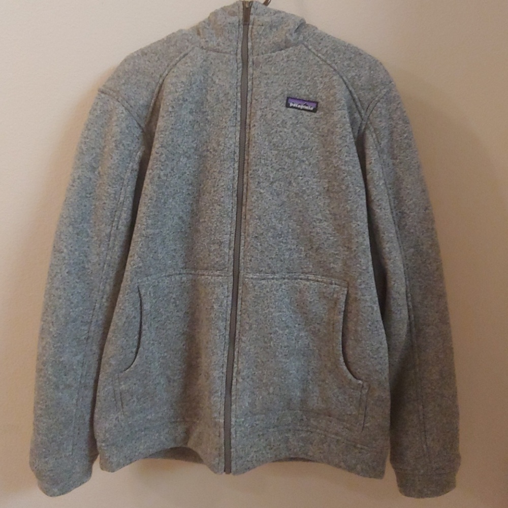 Patagonia Insulated Better Sweater Hoody